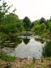 Manheim Township Landis Woods Park & the Boettcher House Museum. Visit Jeff Geoghan's blog for more details and directions.
