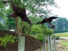 Manheim Township Landis Woods Park & the Boettcher House Museum. Visit Jeff Geoghan's blog for more details and directions.