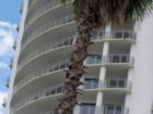 The towers at Channelside have availability for you.  call me for details (813) 936-2302 Katrina Madewell
