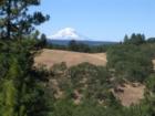Mt Hood from "Windy Oaks" Farm