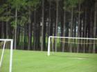 the soccer field