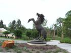 Cordoba Ranch Home sites range in size from 1/2 acre to 2 acres, and this place will be a paradise for horse lovers!