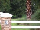 side of Cordoba Ranch