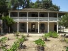 Leonis Adobe