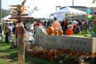 Pumpkin Festival at Juan Bautista de Anza Park