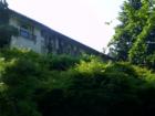 Lush landscaping in Federal Heights area of Salt Lake City