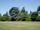 West side of Broadway Park, view from home plate