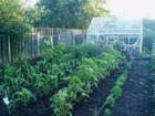 Vegetable garden, Cornwall Park home