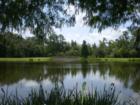 Lake Evalyn in Celebration Florida, there are four streets Lake Evalyn, Rosa Court Wisteria Court and Wisteria Lane.