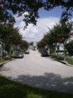 Quiet Street of Lake Evalyn in Celebration Florida.