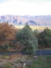 N. Animas Valley view - red cliffs and ponderosa pines