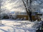 South Jordan yard after snowfall