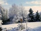 South Jordan yard after snowfall