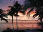 YOU HAVE EARNED THEM....CAPTIVATING SUNSETS, APPEARING NIGHTLY AT SANIBEL, FORT MYERS BEACH, NAPLES.  
      I AM HERE TO SEAMLESSLY HELP YOU THROUGH THE PROCESS. CONTACT ME AT MJRUNDLE@TIME-REALTY.NET
