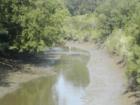 Otter Creek from bridge at low tide - Egret in water