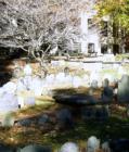 Graveyard in Boston