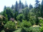 Backyard view of Paradise