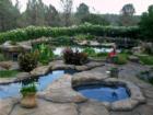 Amazing landscaping in Paradise