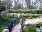 Amazing landscaping in Paradise