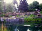 Amazing backyard landscaping in Paradise