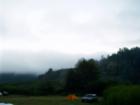 View of Redwoods from our campsite