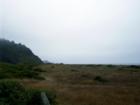 View of the Redwood Coast
