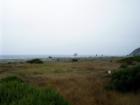 View of the Redwood Coast