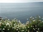 View of the ocean in San Diego