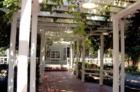 THomas Edison walk way, along Mc Gregror blv, Fort Myers, FL