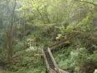 Devils Millhopper Geo Site - Park  
      Gainesville Florida is a Great Place to Live!