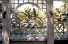 The swimming pool at Thomas Edison home, Fort Myers, FL