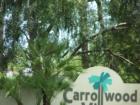 Carrollwood Village