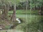 Rivers and Springs in Gainesville Area