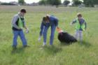 Frisco Clean It and Green It 2007