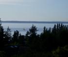 Sailboats from a Chuckanut home