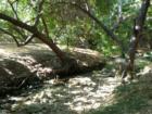 Bubbling creek at Sycamore Canyon Park