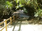 Shady Walking Trail at Sycamore Canyon Park