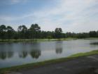 view from pool at southcreek