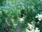 Camfield exercise trail