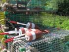 Lobster traps and buoys