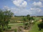 There are 54 holes of Golf at Ginn Reunion Resort.
