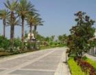Entry road inside Versailles in Wellington Florida