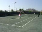 Tennis Courts in Versailles, Wellington, Florida