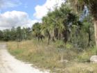 Nursery on over 10 acres for sale In Loxahatchee,  Florida. 