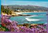 Overlooking Laguna Beach through the flowers