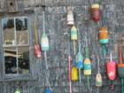 Lobster buoys on outbuilding at Gray Homestead campground on the water 