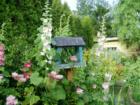 Garden vignette, Birchwood neighborhood, Bellingham Washington