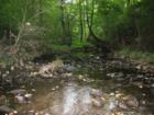 If you want to find a bit of paradise, move to Huntsville Alabama!
