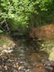 How about wading in a creek during a hot summer day?  Move to Huntsville Alabama and own a little bit of paradise!
