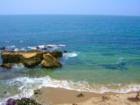 Laguna Beach Surf